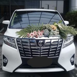 Sewa Mobil Toyota Alphard Harian